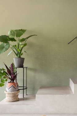 BN Walls Linen Stories