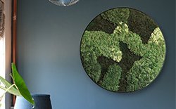 Mosschilderij cirkels